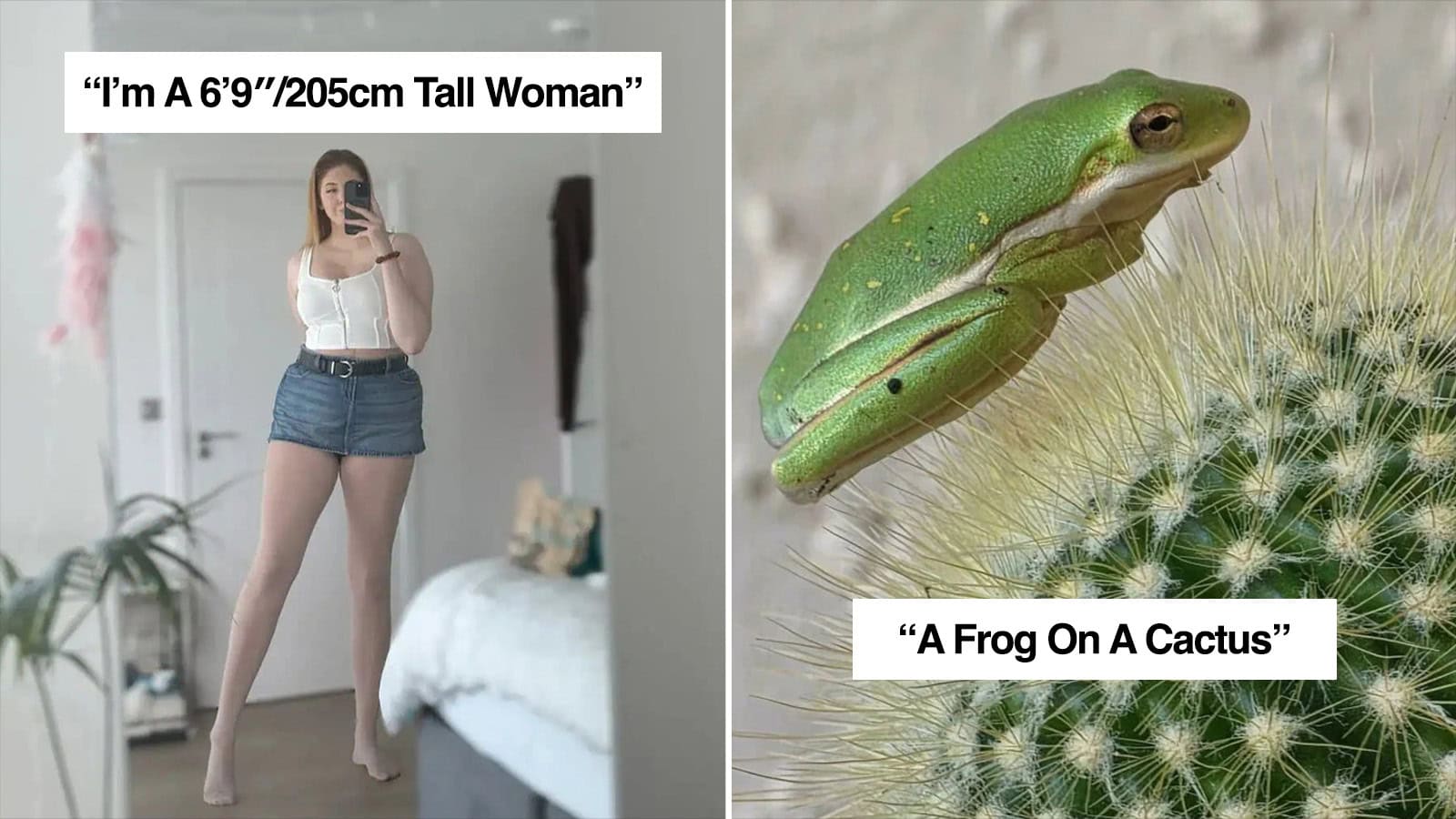 A woman with a height of 6'9" or 205cm standing in a room, taking a mirror selfie.