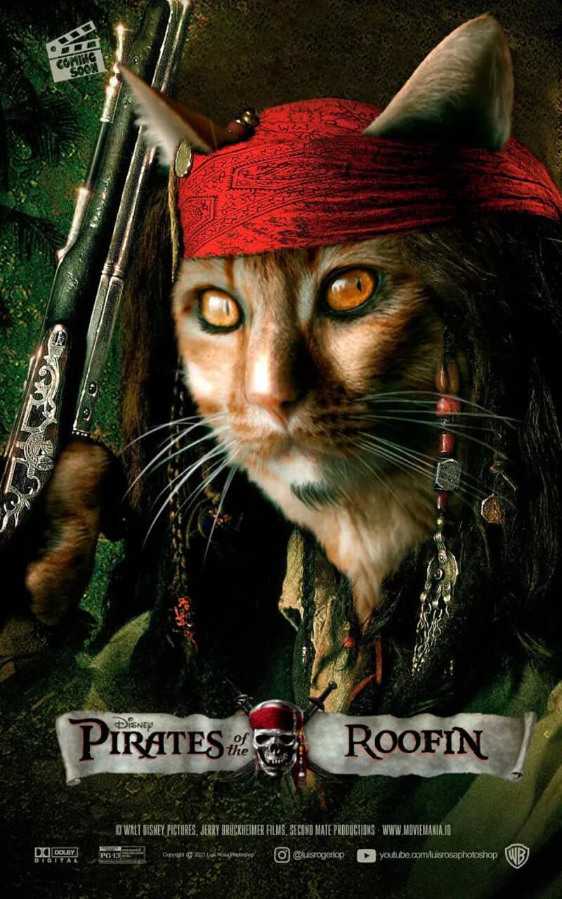 Cat dressed as a pirate with a red bandana, eye patch, and sword.