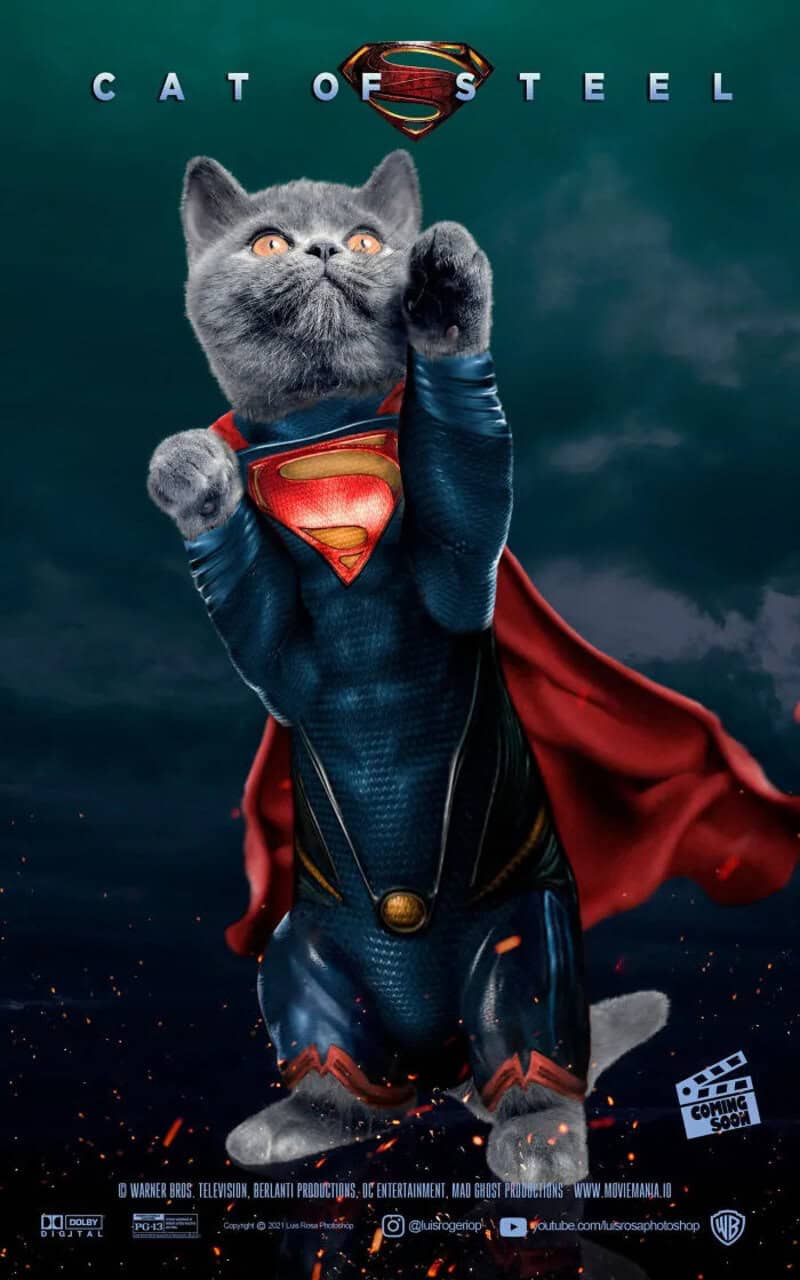 Cat dressed as Superman with 'CAT OF STEEL' title and Superman logo.