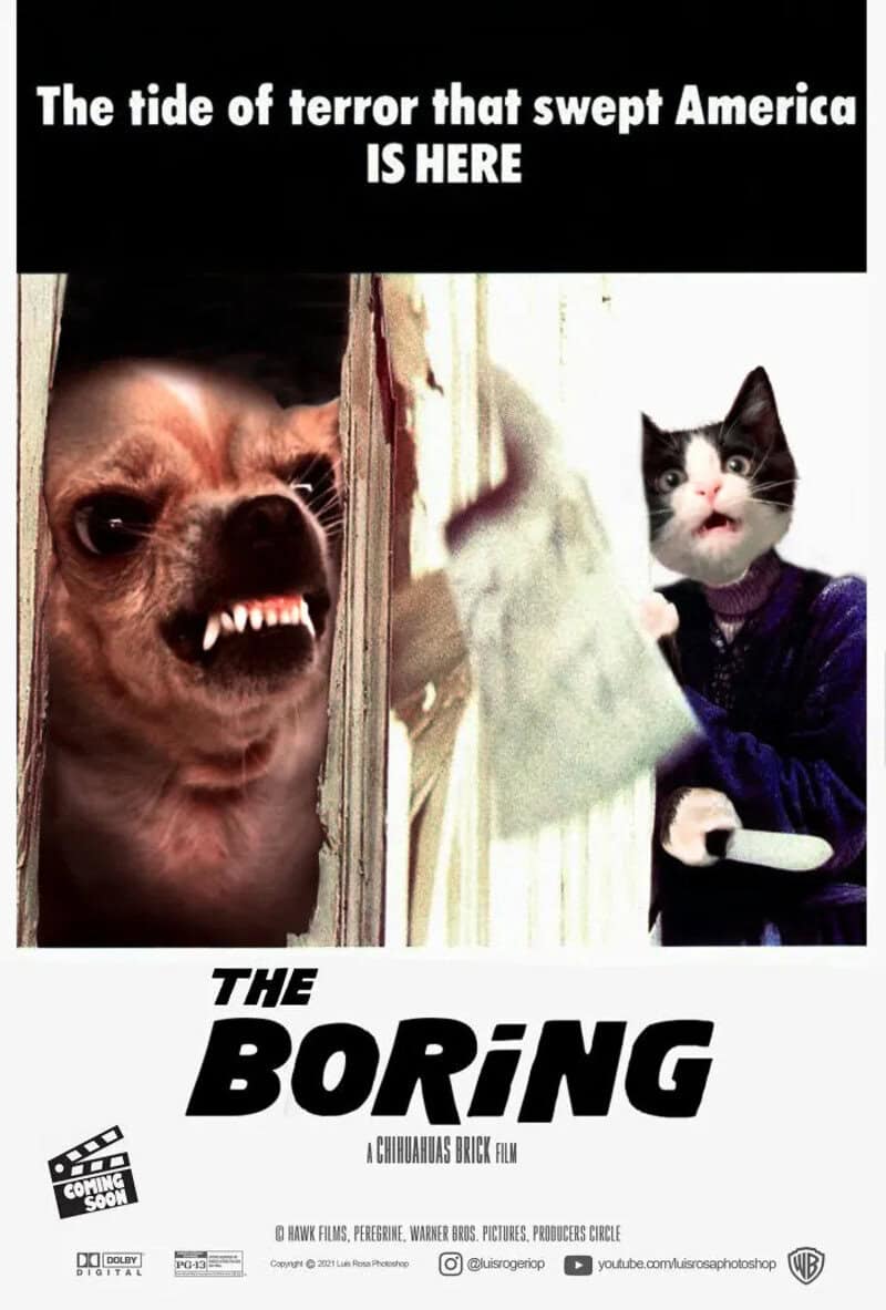The tide of terror that swept America is here, featuring a dog and a cat.