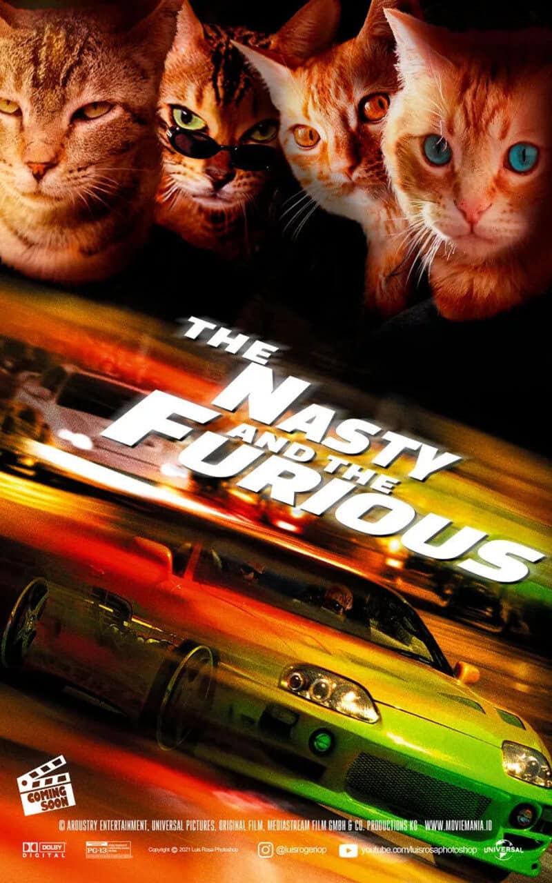 Movie poster for 'The Nasty and the Furious' featuring three cats and a green car.