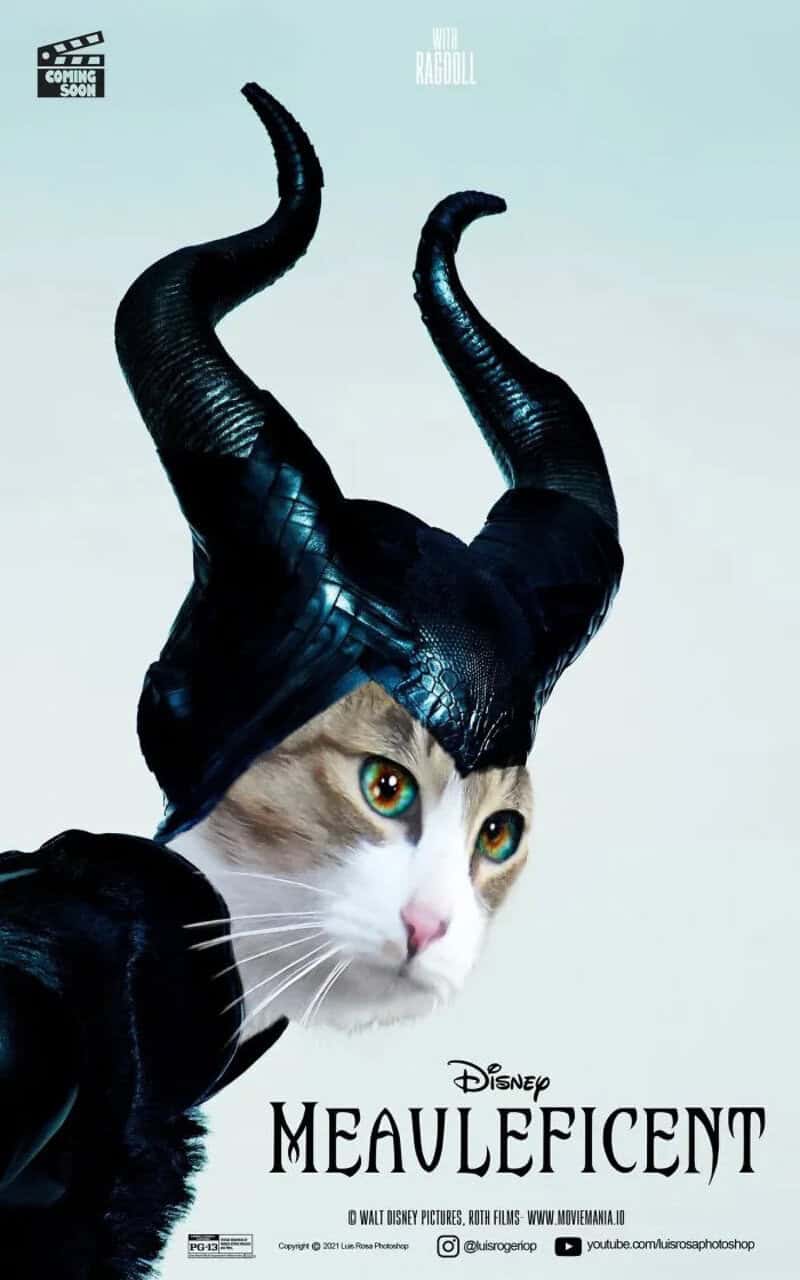 Cat with horns dressed as Maleficent from Disney movie poster.