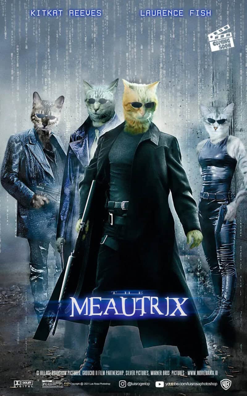 Movie poster for 'Meatrix' featuring four cats in sunglasses and leather jackets.