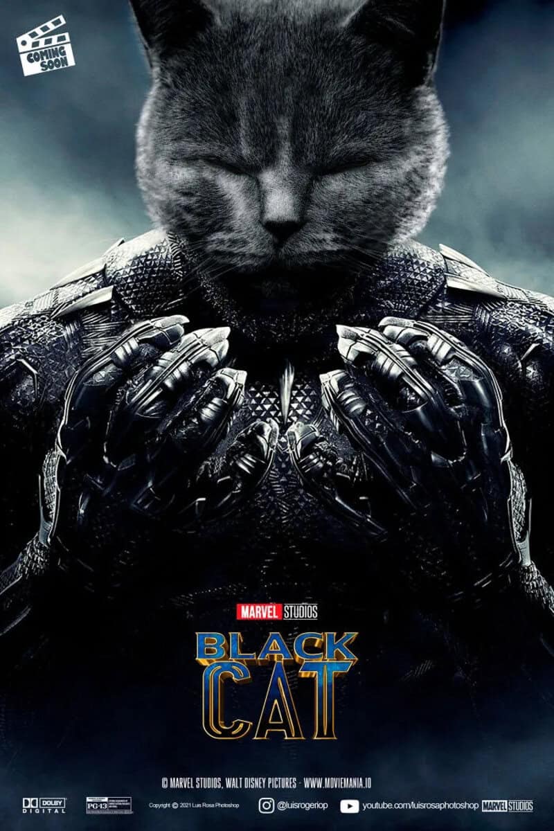 Black Cat movie poster with a cat face in a superhero costume.