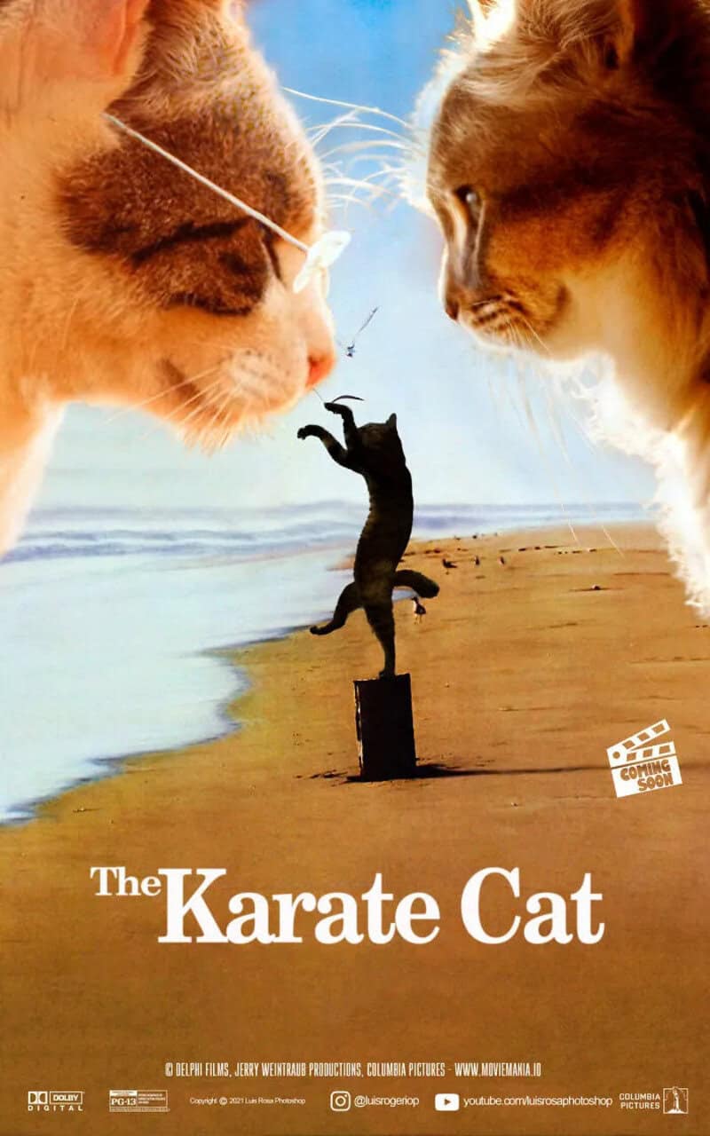 Cats and a mouse on a beach with the title 'The Karate Cat'.