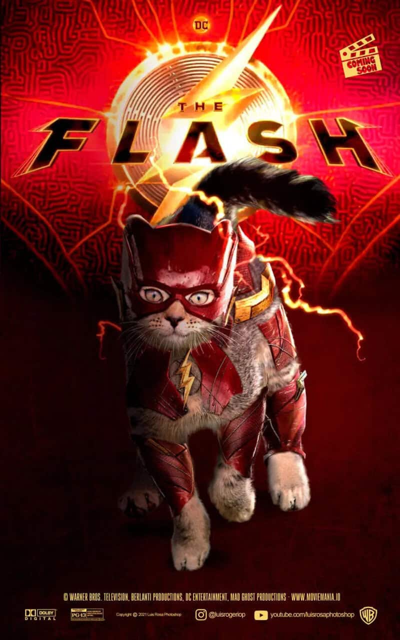 The Flash movie poster featuring a cat dressed as The Flash with a lightning bolt logo.