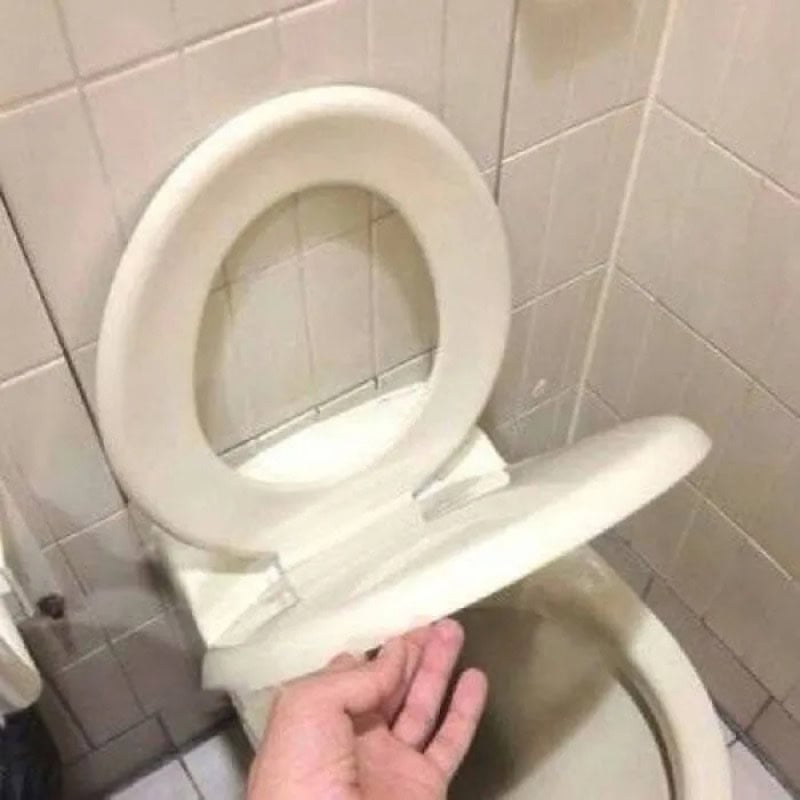 Person's hand pressing the toilet seat down in a bathroom.