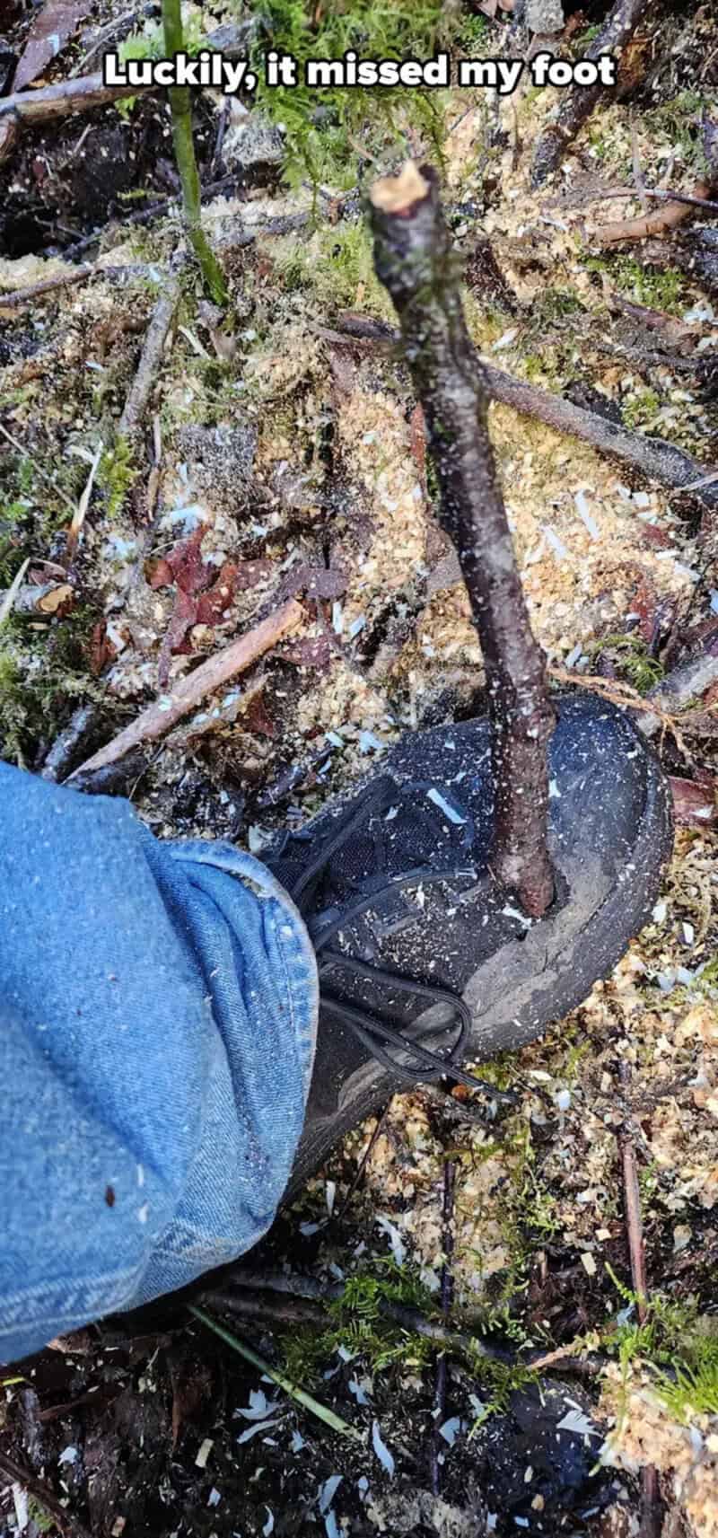 Luckily, it missed my foot.