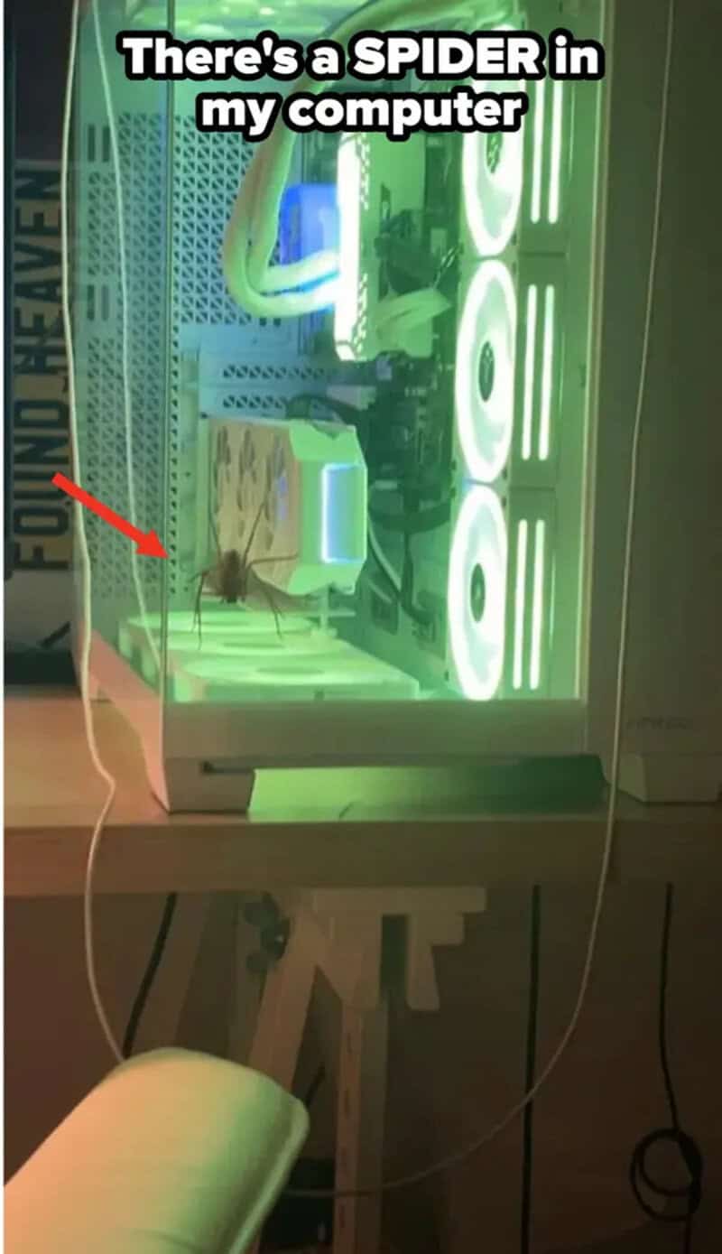 There's a spider in my computer with a caption.