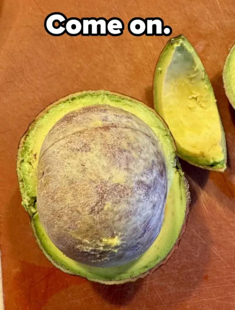 Moldy avocado with a slice cut out, showing the brown and spoiled interior.