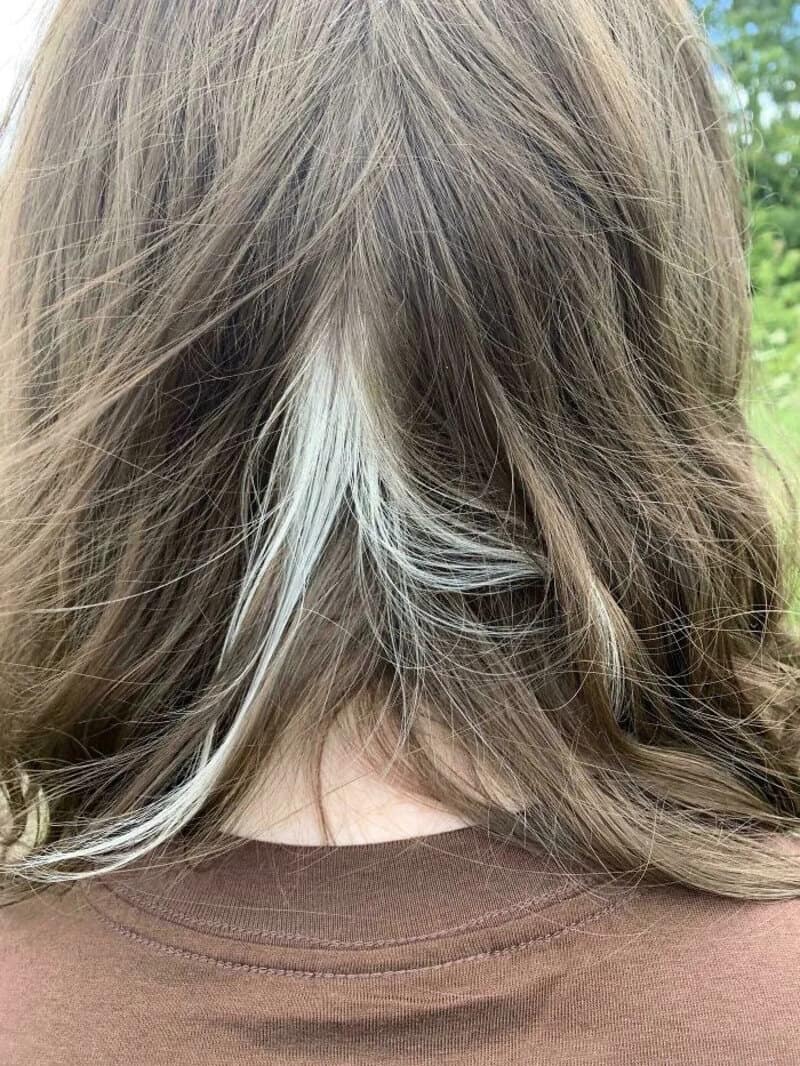 Back of a person's head with brown hair and a white streak.