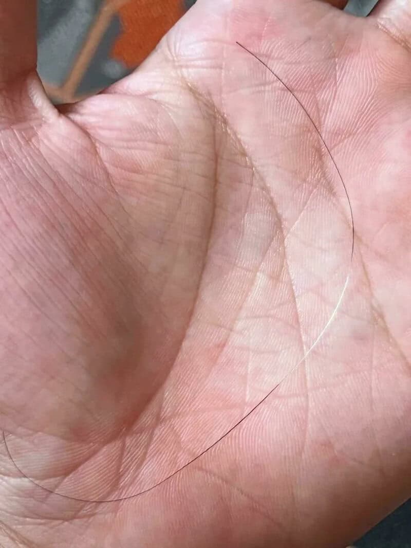 Close-up of a hand with long, thin hair strands on the palm.