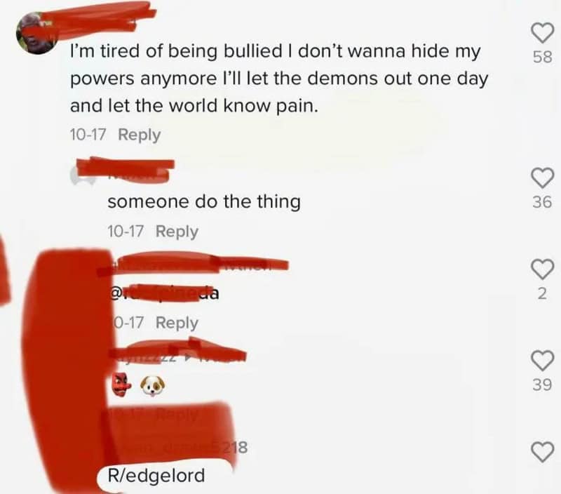 Social media comments about bullying and empowerment, with redacted usernames.