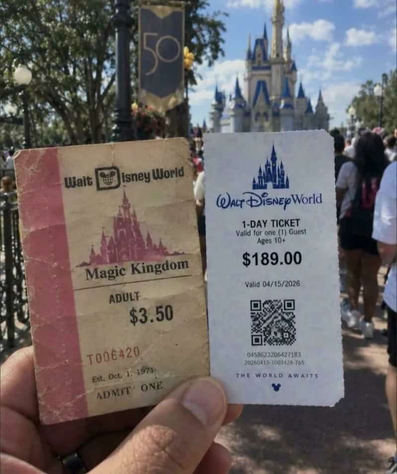 Disney World tickets and a castle in the background at Magic Kingdom.