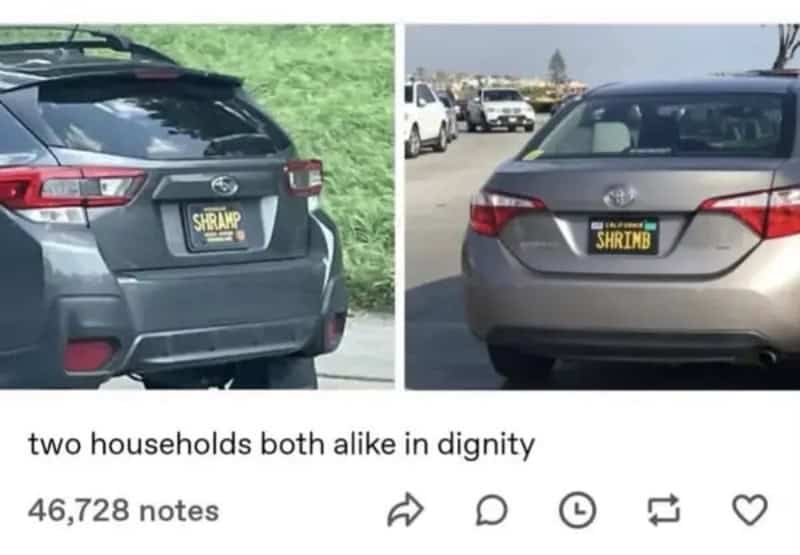 Two cars with humorous license plates reading 'SHRIMP' and 'SHRIMB'.