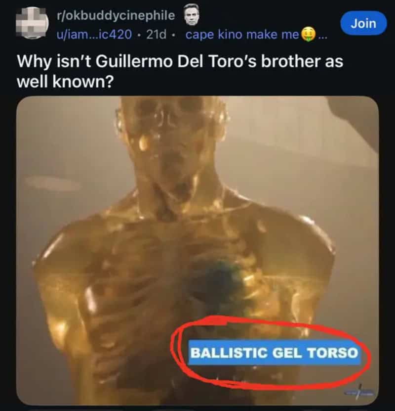 Why isn't Guillermo Del Toro's brother as well known?.