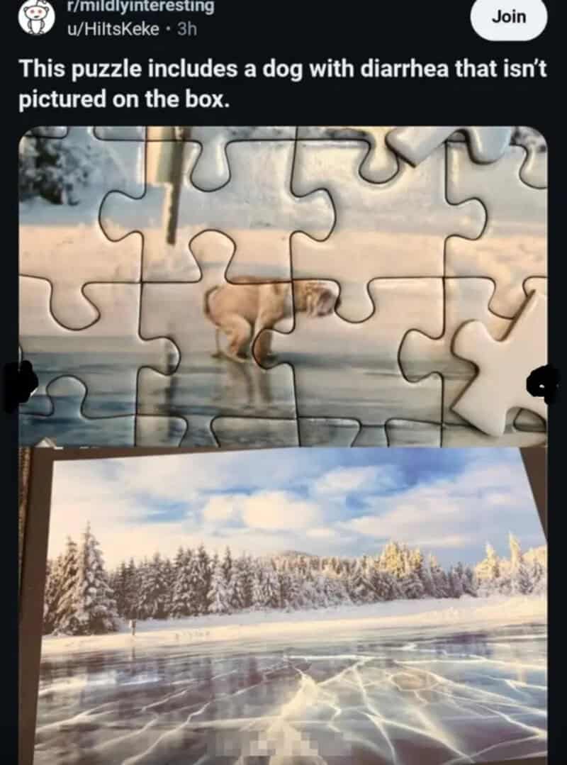Puzzle shows a dog with diarrhea hidden in the snowy landscape image.