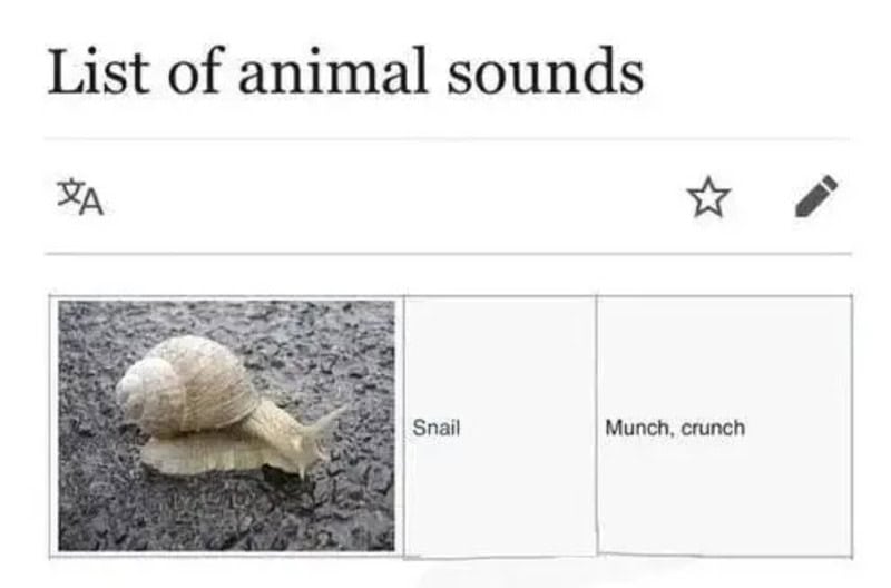 Snail with the text 'Munch, crunch' from a list of animal sounds.
