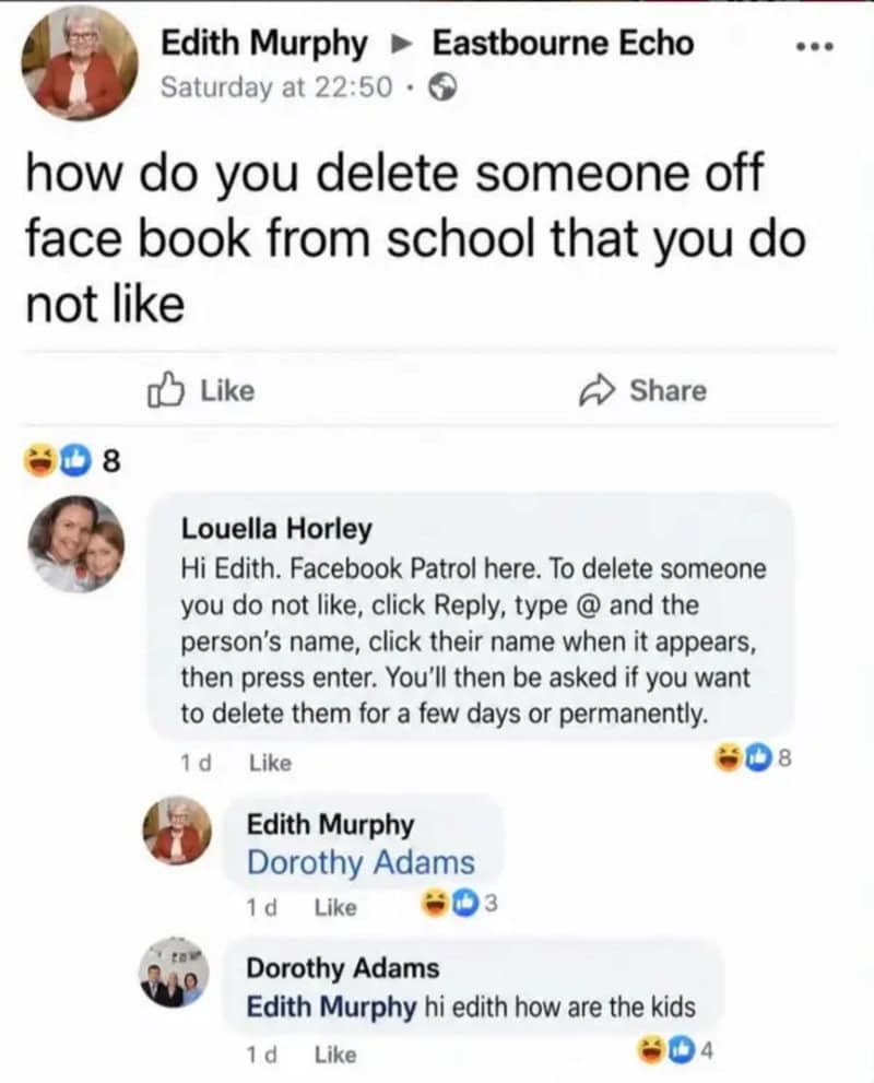 Facebook meme about deleting someone you dislike from school face book.