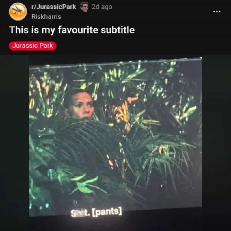 Screenshot of a social media post with a woman hiding behind plants, captioned 'Shh. [pants]', from.