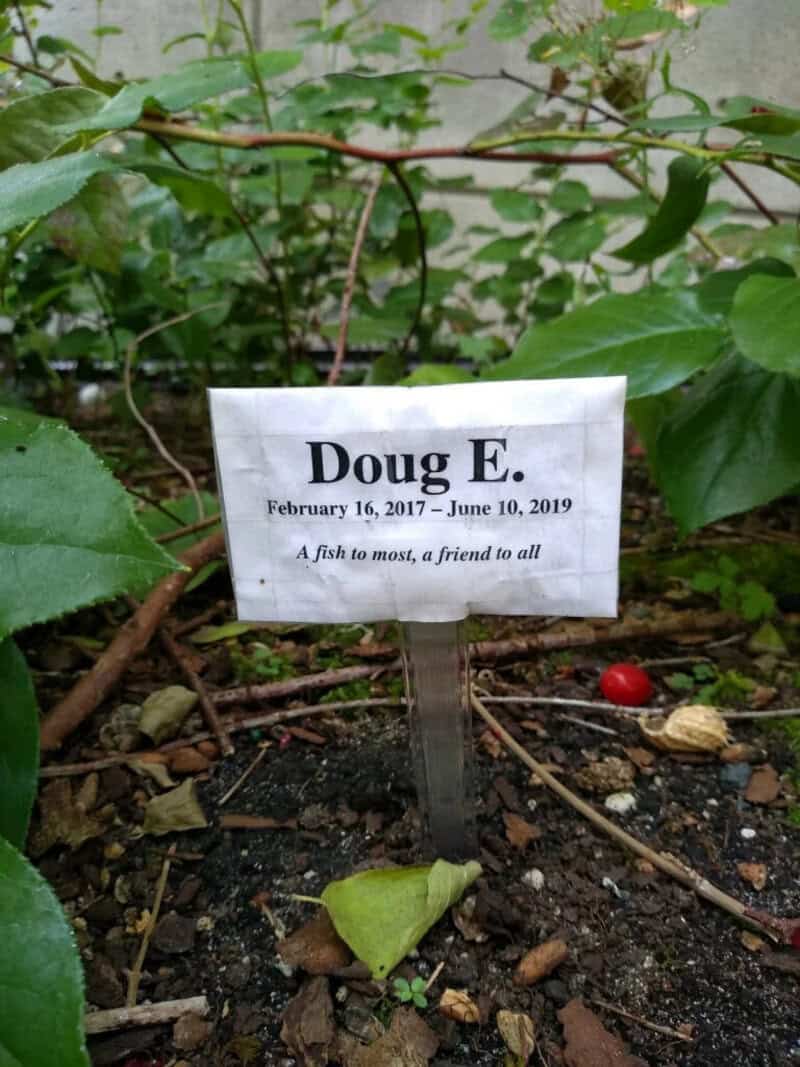 Name tag for Doug E. in a garden, with a quote about friendship and fish.