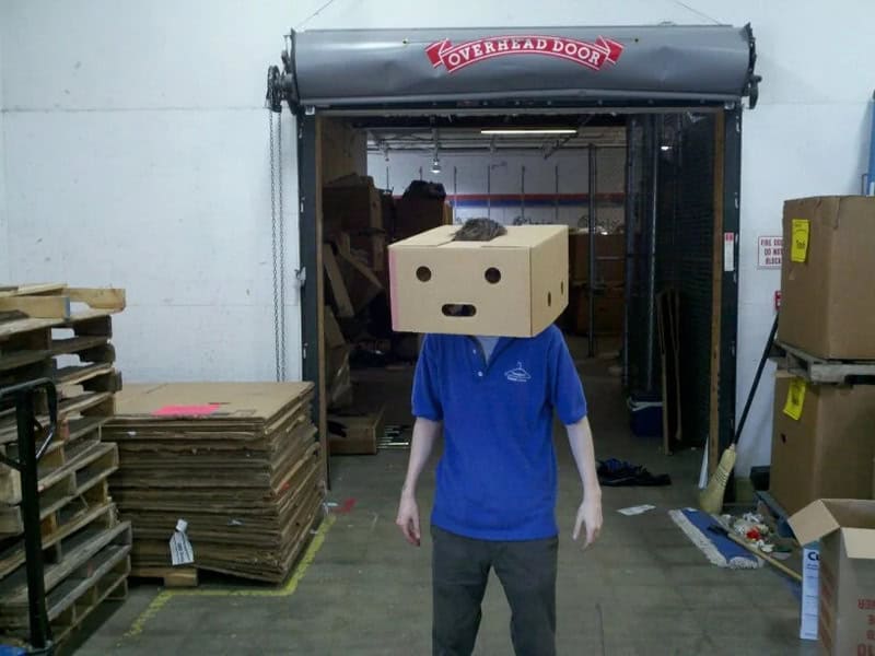 Person with a cardboard box on their head in a warehouse.
