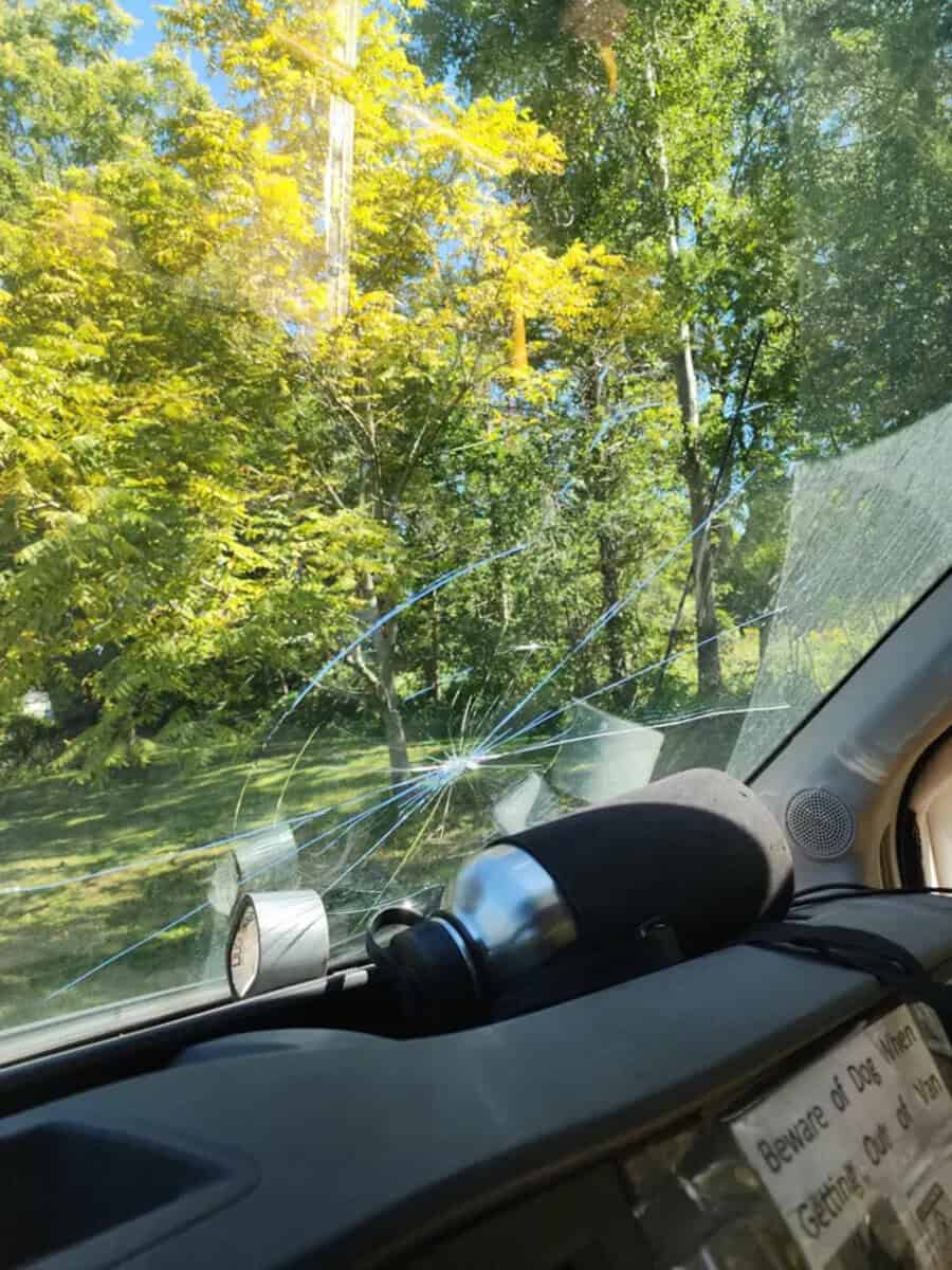 Broken car windshield with multiple cracks and a tree outside.