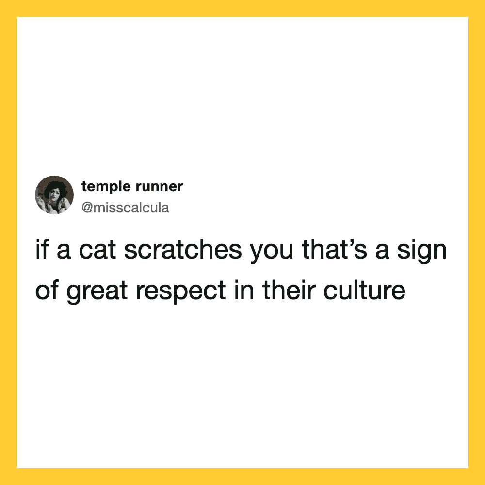 If a cat scratches you, that's a sign of great respect in their culture.