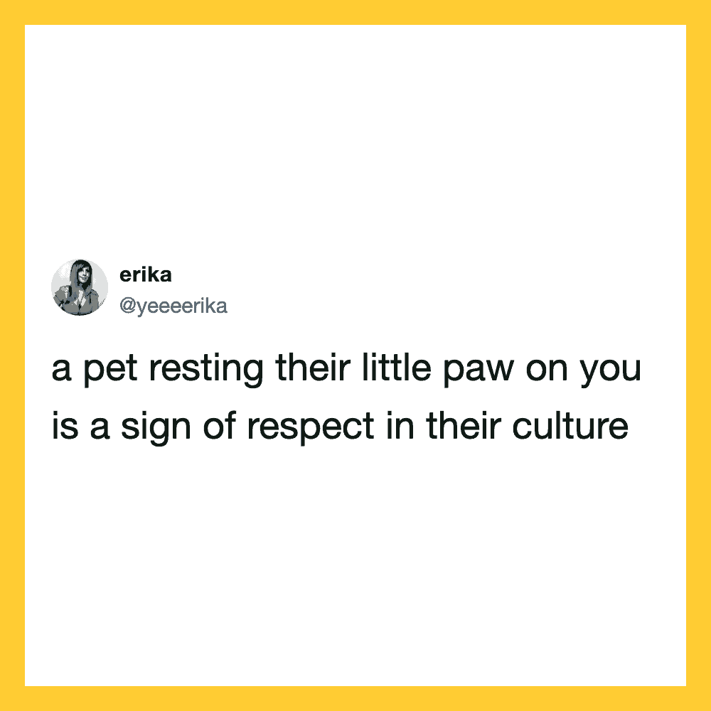A pet resting its paw on a person as a sign of respect in their culture.