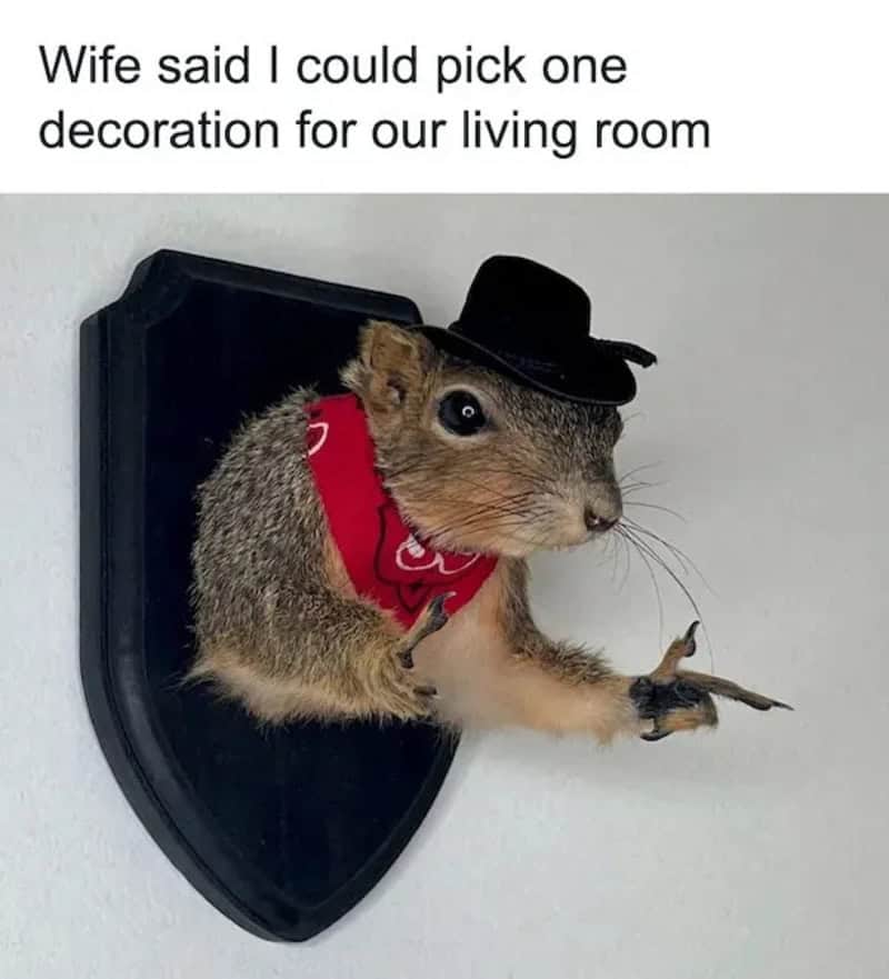 A squirrel wearing a black hat and red bandana, pointing with a stick.
