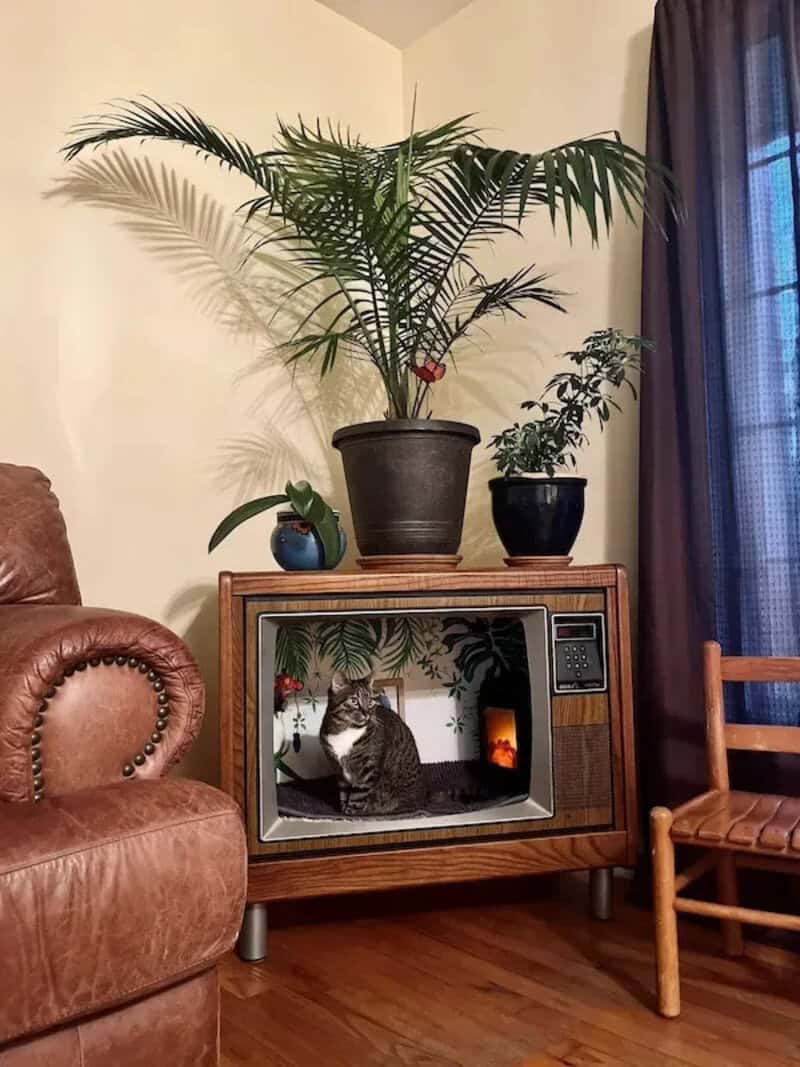 Cozy living room with a cat sitting inside a vintage TV, plants on top, and a leather armchair.