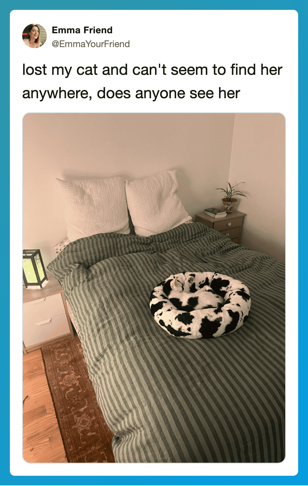 Lost cat, no sign of her, on a bed with striped green bedding and a black and white cat-shaped bed.