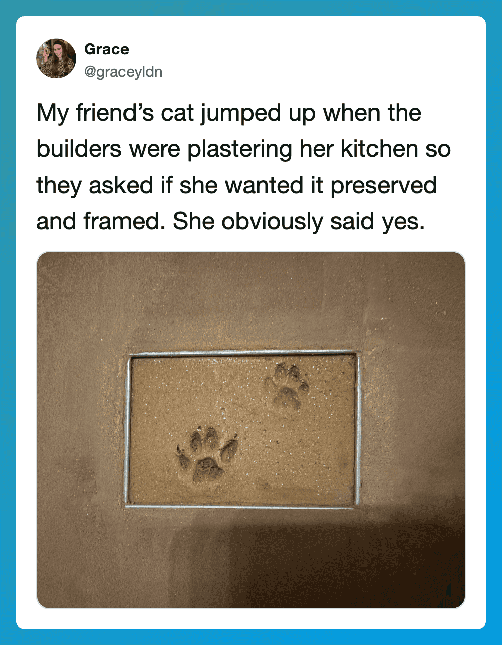 Cat's paw prints in a framed kitchen floor patch, with a tweet about a cat and builders.
