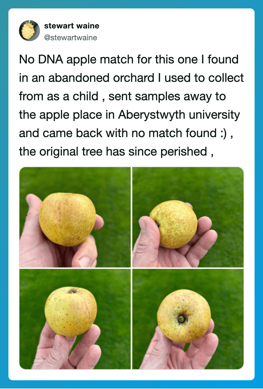 Hand holding an apple with no DNA match found, four photos of the apple on grass.