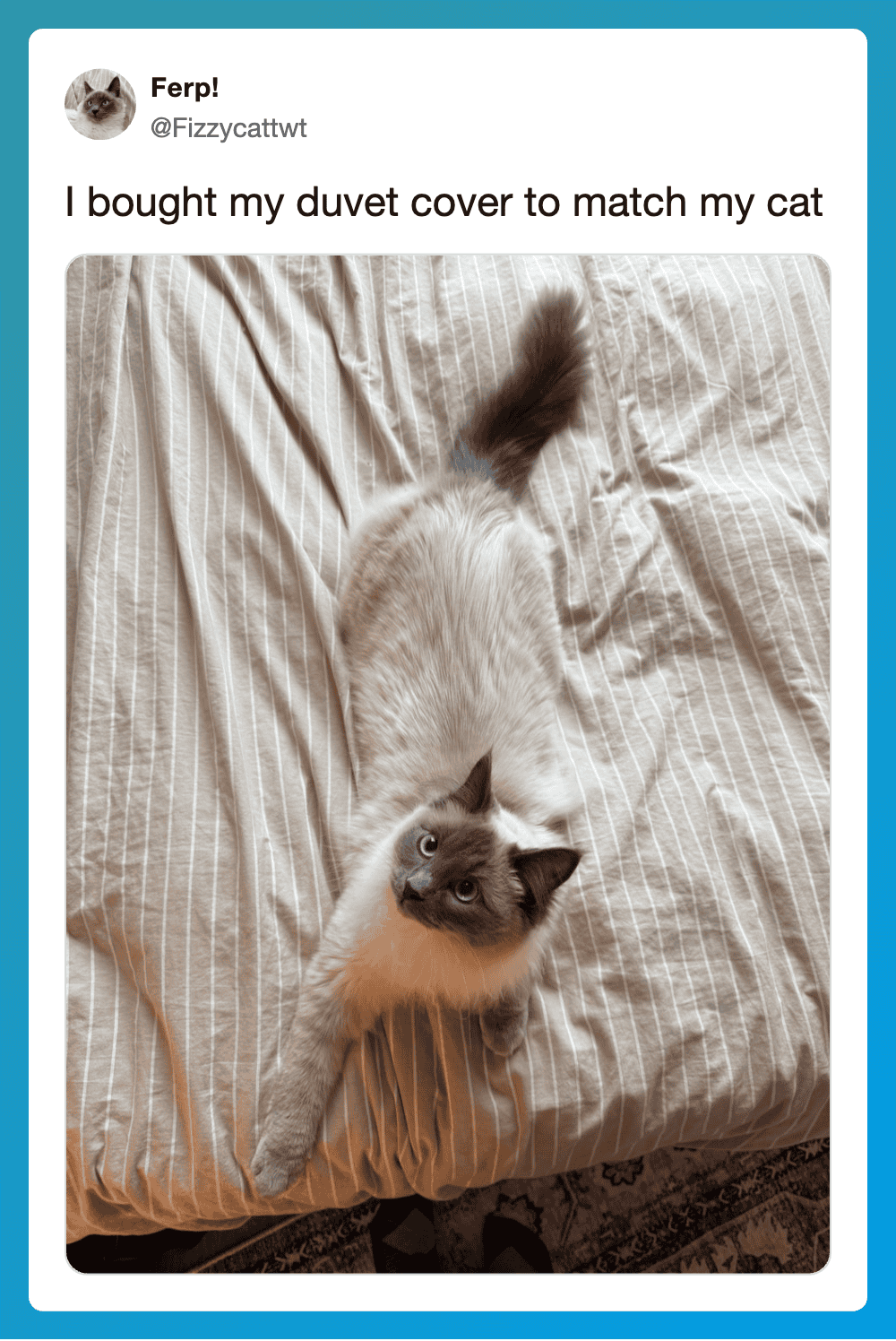 Duvet cover matching the cat's fur color with a Siamese cat lying on it.