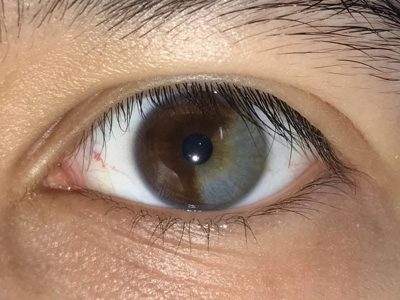 Close-up of a human eye with brown iris and detailed eyelashes.