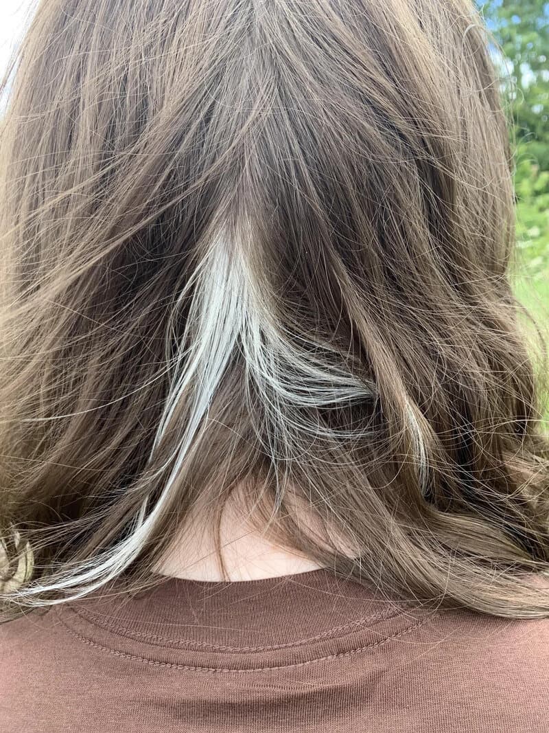 Close-up of a person's hair with a white streak at the back.