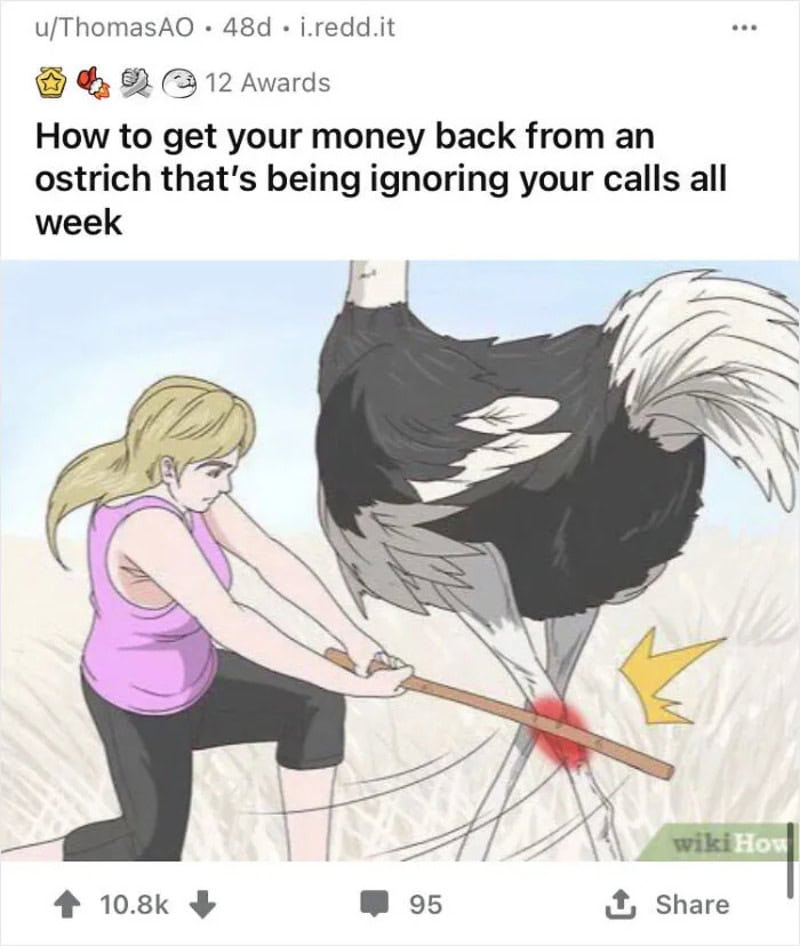 Woman pulling on a stick attached to an ostrich's foot, which is bleeding.