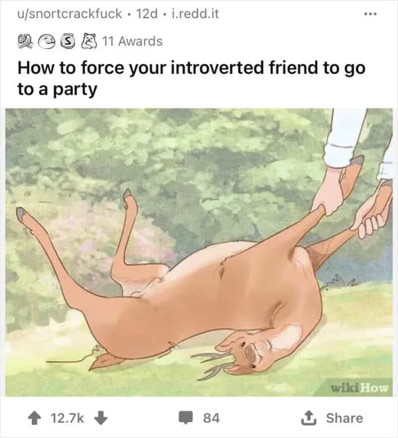 How to force your introverted friend to go to a party with a dog lying on the ground.
