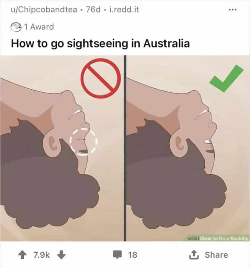 How to go sightseeing in Australia: incorrect and correct head positions shown.