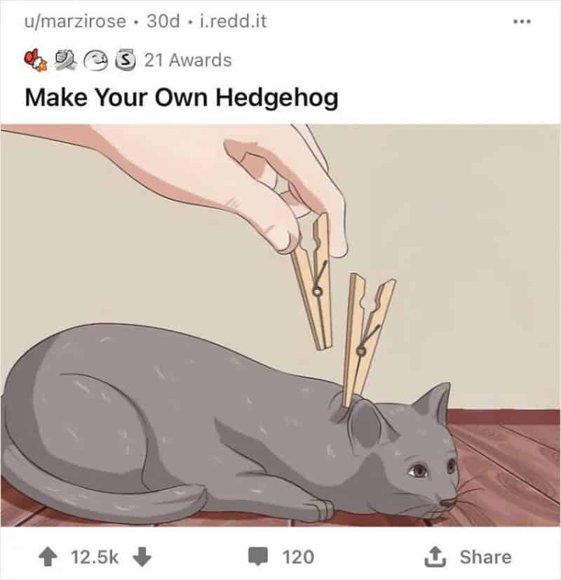 Person making a hedgehog out of a cat with clothespins and a blanket.