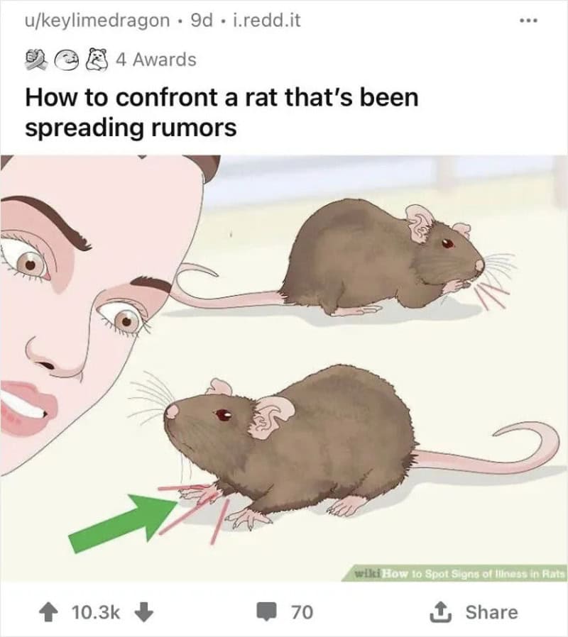 How to confront a rat that's been spreading rumors with two rats and a woman's face.