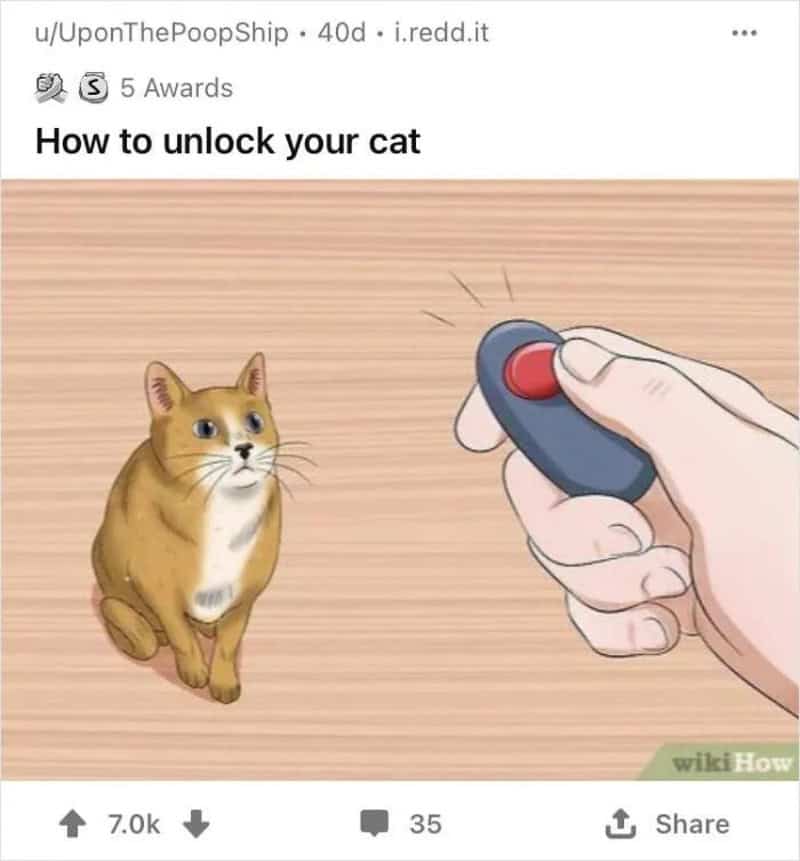 How to unlock your cat with a remote control, showing a hand pressing a button near a sitting cat.