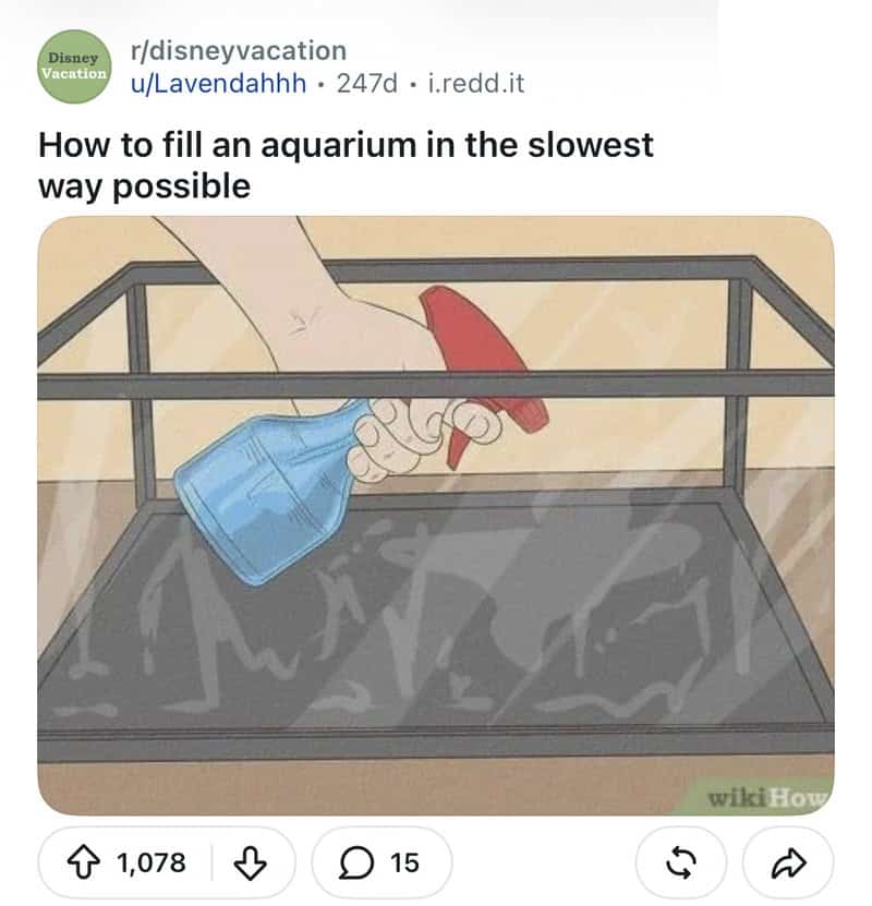 How to fill an aquarium in the slowest way possible with a hand and a funnel.