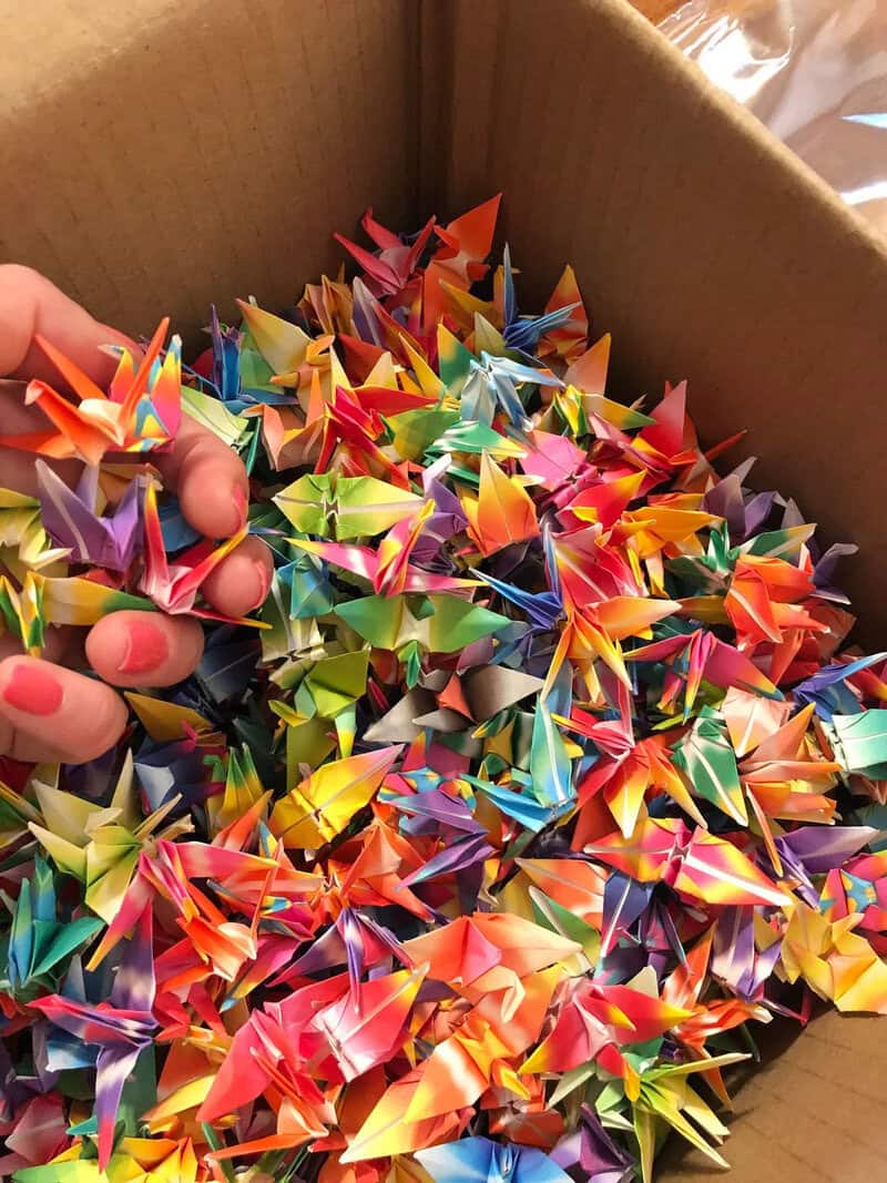 Colorful origami paper cranes in a box, with a hand holding some of them.