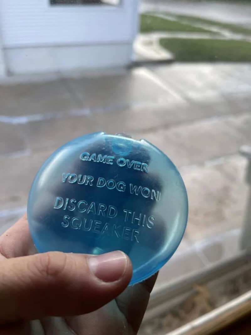 Blue dog waste bag dispenser with text: 'GAME OVER YOUR DOG WON! DISCARD THIS SQUARE'.