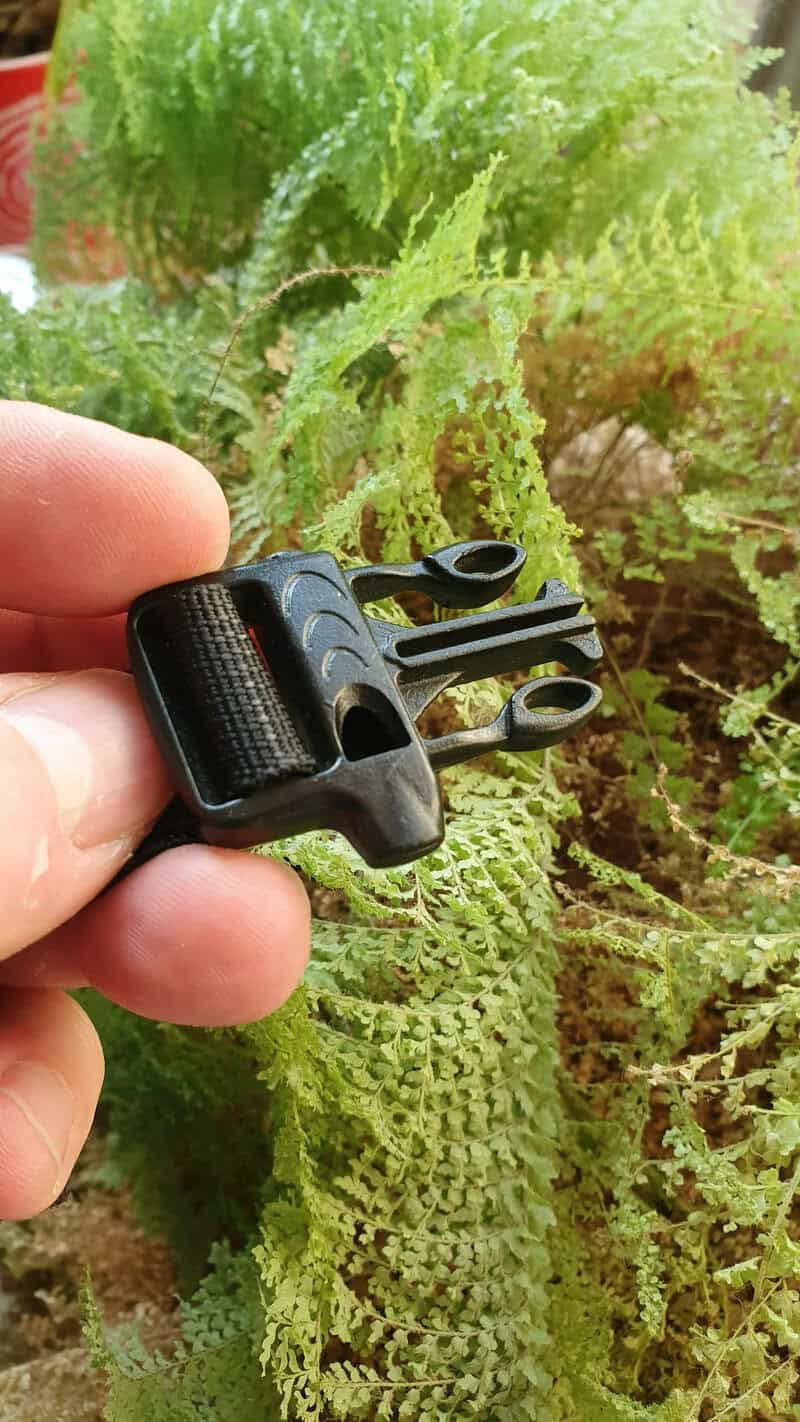 Miniature black clamp with a flexible strap, held against green fern leaves.