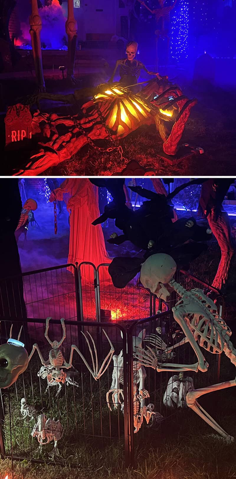 Halloween display with glowing orange pumpkin skeleton lying on ground and eerie blue lighting; RIP|.