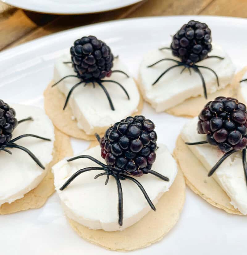 Spider Halloween canapé with cream cheese on cracker and blackberry body, on white plate.