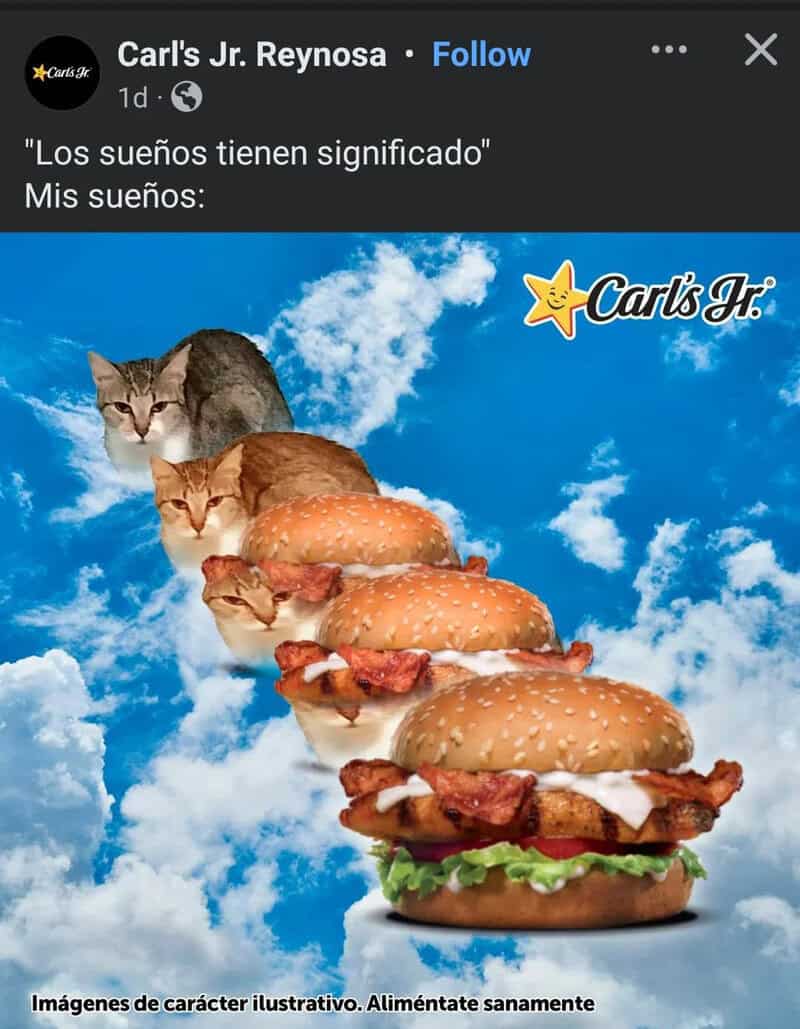 Cats looking at giant burgers in the sky with clouds, Carl's Jr. logo.